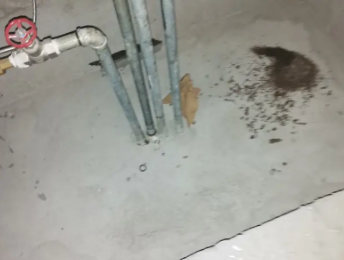 商丘市卫生间测漏水价格明细